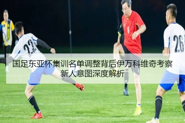 国足东亚杯集训名单调整背后伊万科维奇考察新人意图深度解析